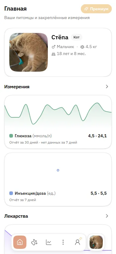 Главная страница с питомцем и измерениями